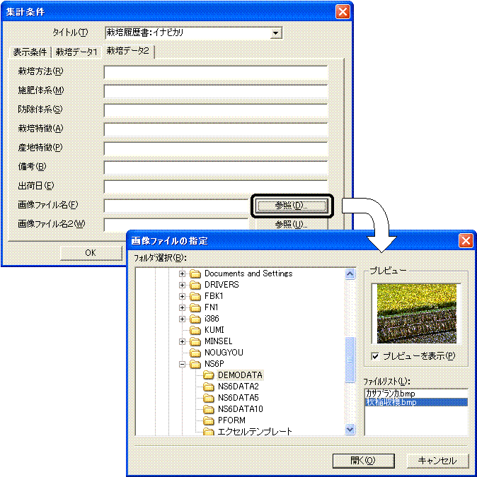 image010.gif