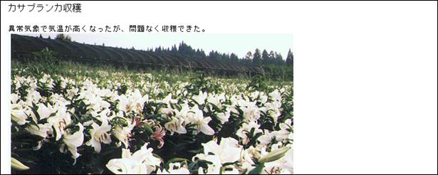 image006.jpg